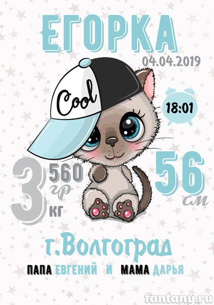 Метрика №21 с котёнком