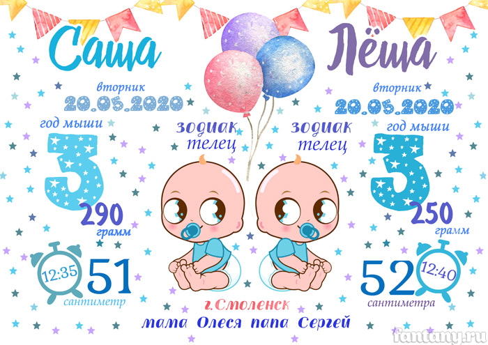Метрика №24 для близнецов
