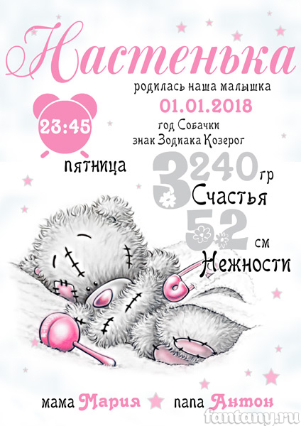 Метрика №29 с медвежонком Тедди