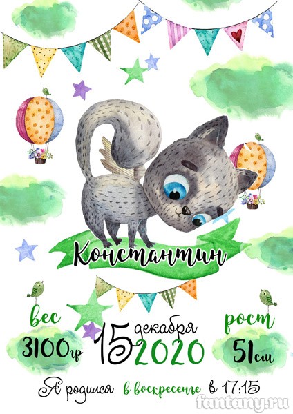Метрика №47 с котёнком