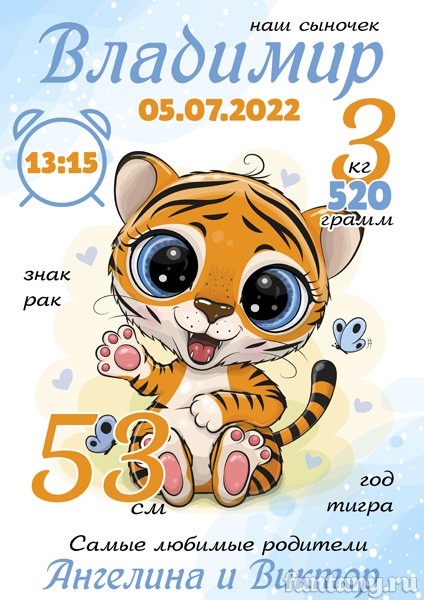 Метрика №76 с Тигрёнком для мальчика