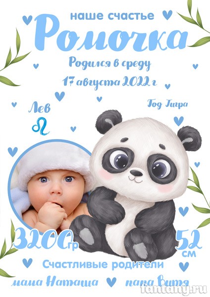 Метрика №78 с пандой для мальчика