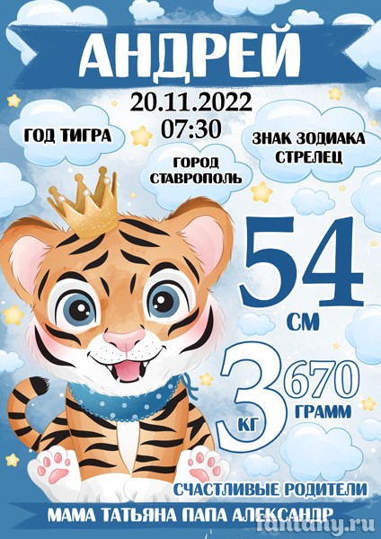 Метрика №88 с Тигрёнком для мальчика