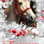 Муллахметов Руслан Вячеславович